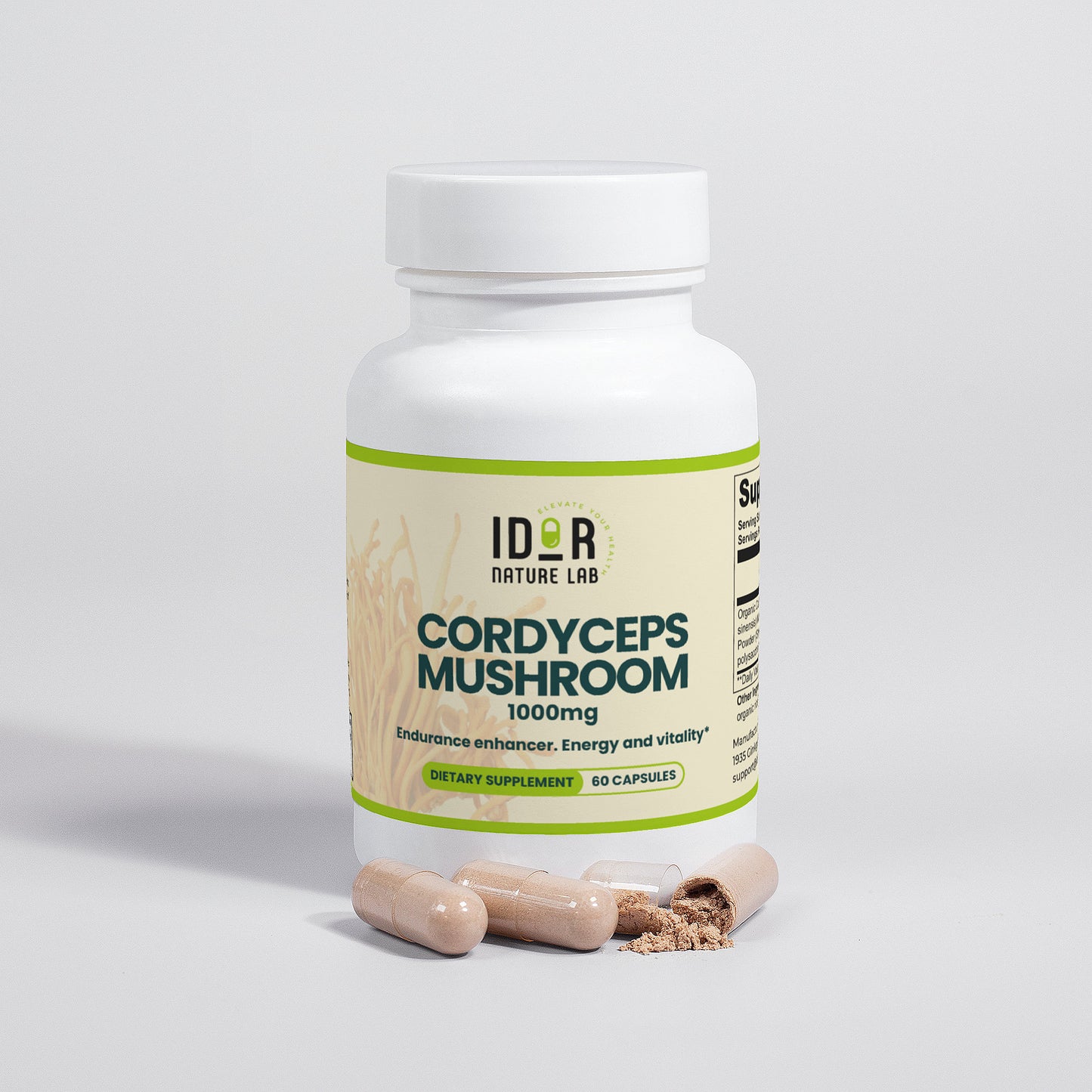 Cordyceps Mushroom